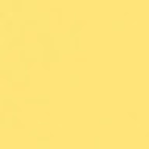 Meet your Posher, Sofia - Picture 1 of 1